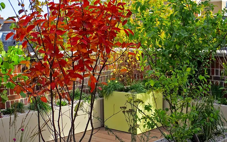 autumn