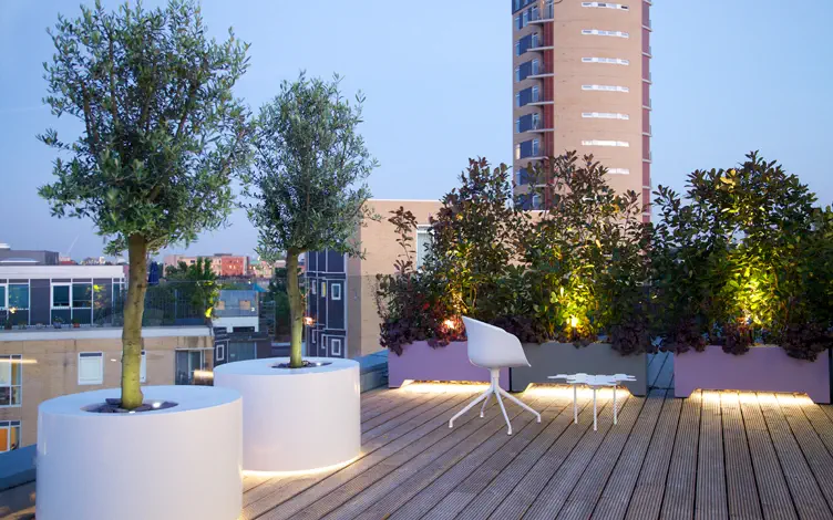 terrace