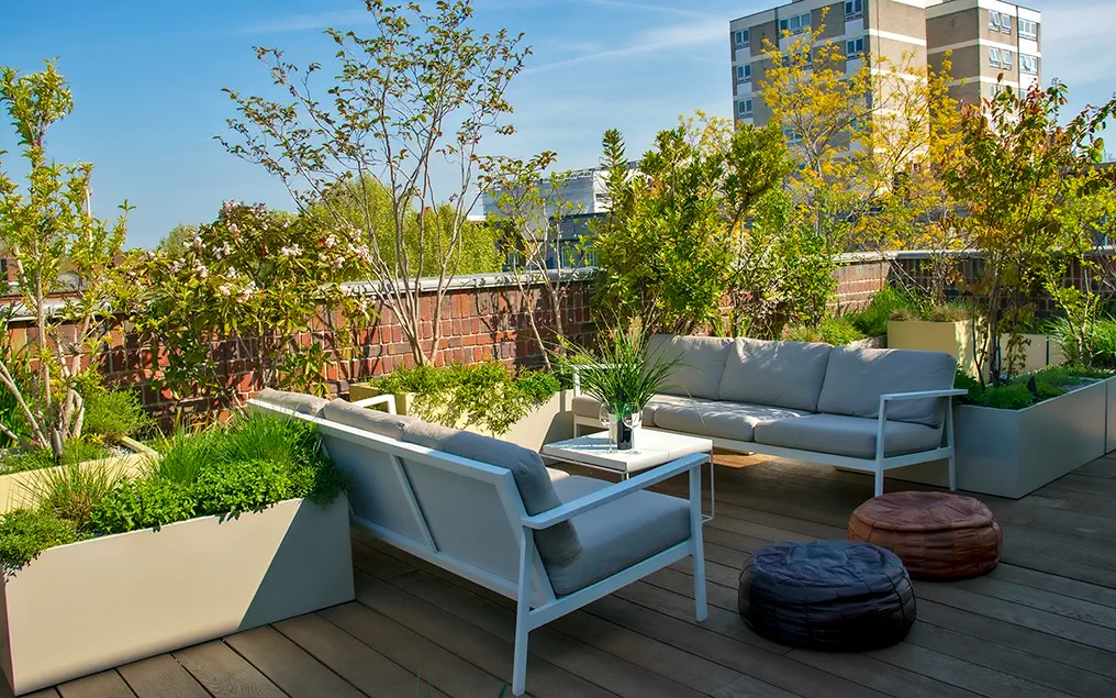 natural rooftop garden