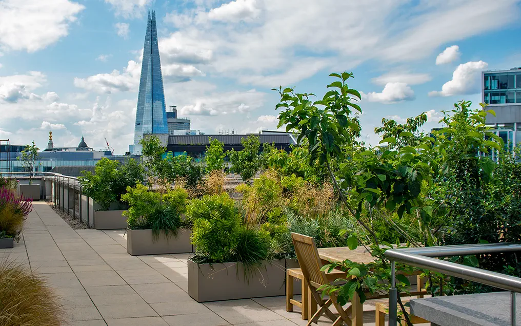 commercial roof terrace