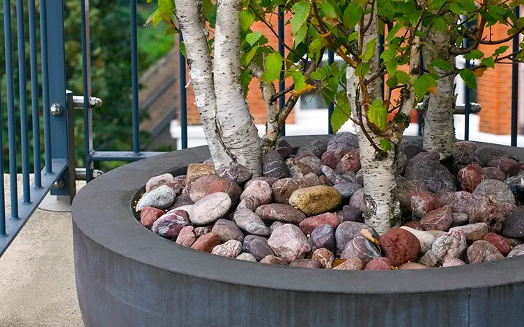 pot