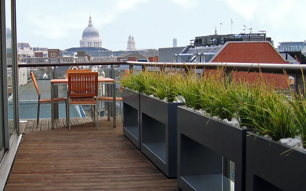rooftop landscaping design