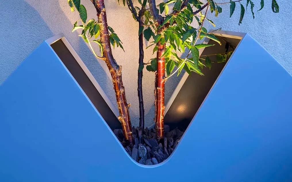 tree planter